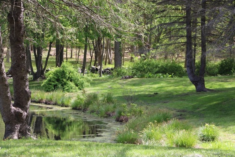 Big Cypress National Preserve: 7 ways to explore Everglades Big Cypress National Preserve: 7 ways to explore Everglades