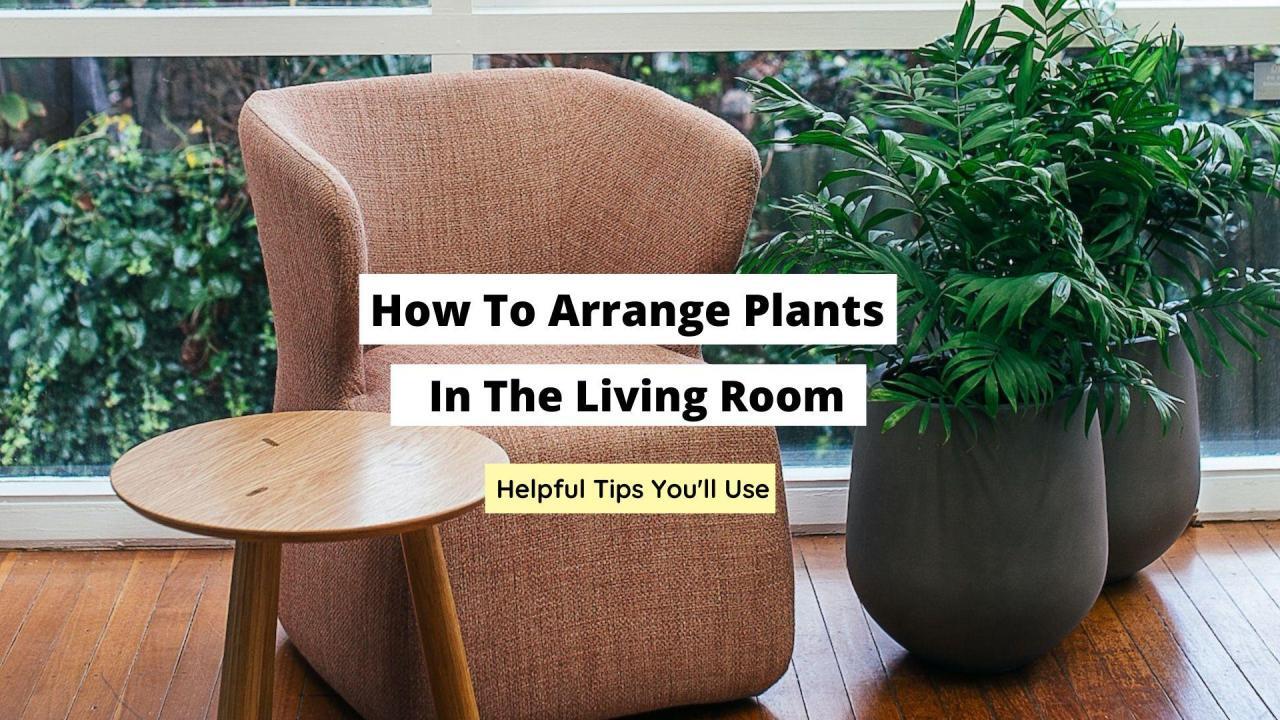 How To Arrange Plants In The Living Room - Craftsonfire How To Arrange Plants In The Living Room - Craftsonfire