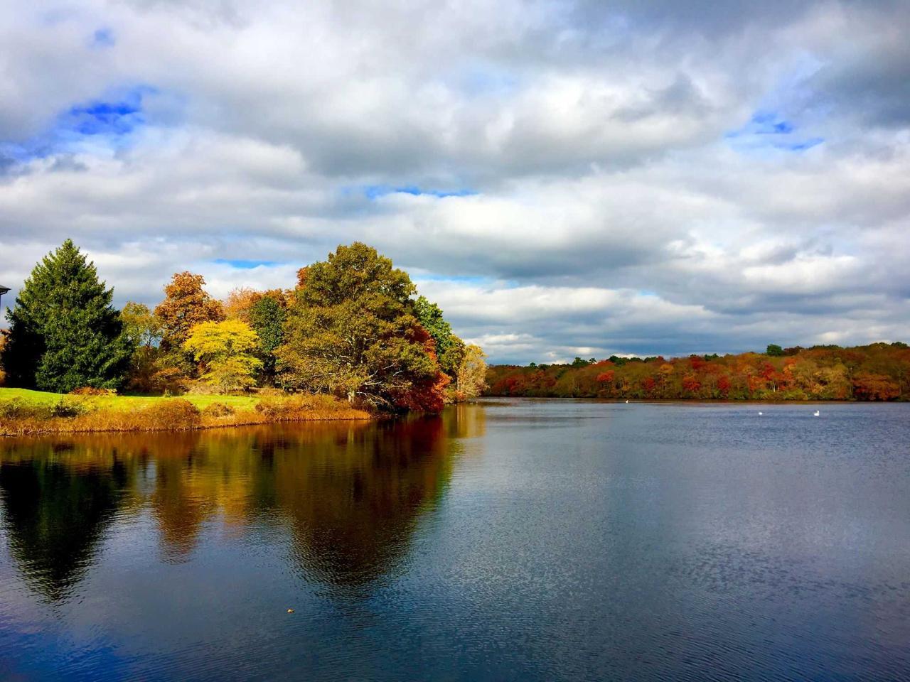 The Five Habitats of Big Cypress National Preserve | WildLandscapes ... The Five Habitats of Big Cypress National Preserve | WildLandscapes ...